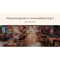 Hàng hoá (goods or commodities) là gì ?