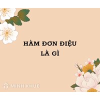 Hàm đơn điệu (monotonic function) là gì ?