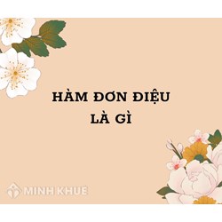 Hàm đơn điệu (monotonic function) là gì ?