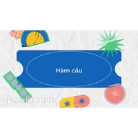 Hàm cầu (demand function) là gì? Đặc điểm và ứng dụng