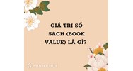 Giá trị sổ sách (book value) là gì ?