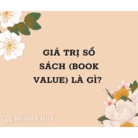 Giá trị sổ sách (book value) là gì ?