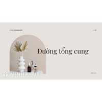 Đường tổng cung (aggregate supply curve) là gì ?