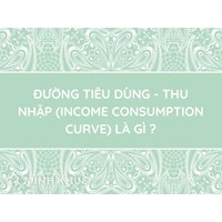 Đường tiêu dùng - thu nhập (income consumption curve) là gì ?