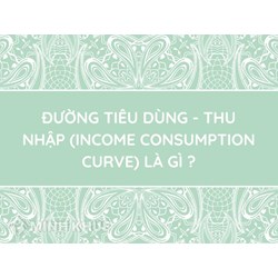 Đường tiêu dùng - thu nhập (income consumption curve) là gì ?