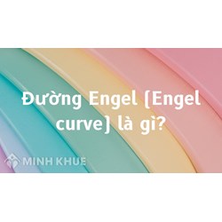 Đường Engel (Engel curve) là gì ?
