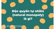 Độc quyền tự nhiên (natural monopoly) là gì ?