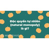 Độc quyền tự nhiên (natural monopoly) là gì ?