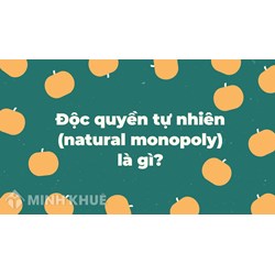 Độc quyền tự nhiên (natural monopoly) là gì ?