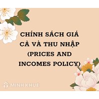 Chính sách giá cả và thu nhập (prices and incomes policy) là gì ?