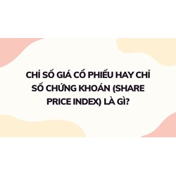 Chỉ số giá cổ phiếu hay chỉ số chứng khoán (share price index) là gì ?