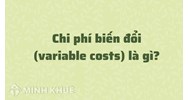 Chi phí biến đổi (variable costs) là gì ?