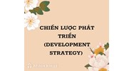 Chiến lược phát triển (development strategy) là gì?