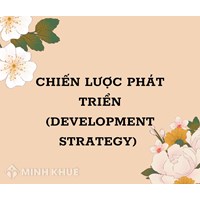 Chiến lược phát triển (development strategy) là gì?