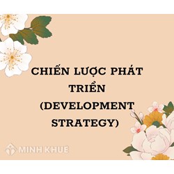Chiến lược phát triển (development strategy) là gì?