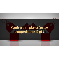Cạnh tranh giá cả, sự (price competition) là gì ?