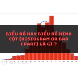 Biểu đồ hay biểu đồ hình cột (histogram or bar chart) là gì ?