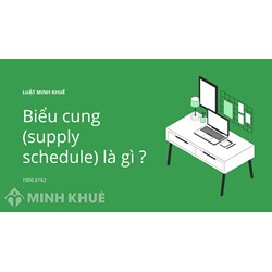 Biểu cung (supply schedule) là gì ?