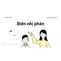 Biến nhị phân (binary variable) là gì? Đặc điểm và tác dụng