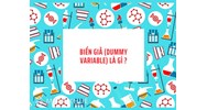 Biến giả (dummy variable) là gì ?