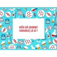 Biến giả (dummy variable) là gì ?