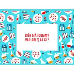 Biến giả (dummy variable) là gì ?