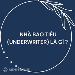 Nhà bao tiêu (UNDERWRITER) là gì ?