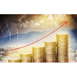 Cổ phiếu ưu đãi dự phần (Participating preferred stock) là gì?