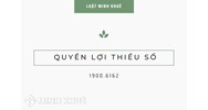 Quyền lợi thiểu số (MINORITY INTEREST) là gì?