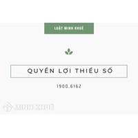 Quyền lợi thiểu số (MINORITY INTEREST) là gì?