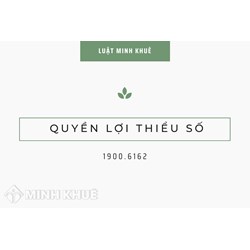 Quyền lợi thiểu số (MINORITY INTEREST) là gì?