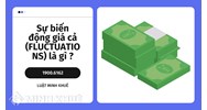 Sự biến động giá cả (FLUCTUATIONS) là gì ?
