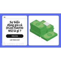 Sự biến động giá cả (FLUCTUATIONS) là gì ?