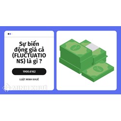 Sự biến động giá cả (FLUCTUATIONS) là gì ?