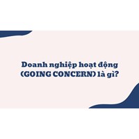 Doanh nghiệp hoạt động (GOING CONCERN) là gì ?