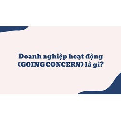 Doanh nghiệp hoạt động (GOING CONCERN) là gì ?