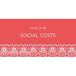 Chi phí xã hội (social cost) là gì ?