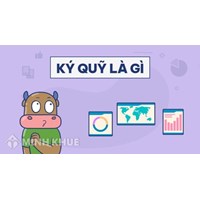 Số dư ký quỹ (MARGIN) là gì ?
