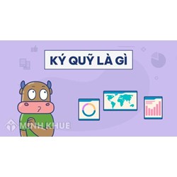 Số dư ký quỹ (MARGIN) là gì ?