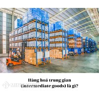Hàng hoá trung gian (intermediate goods) là gì ?