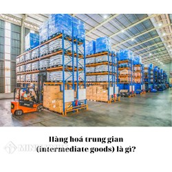 Hàng hoá trung gian (intermediate goods) là gì ?
