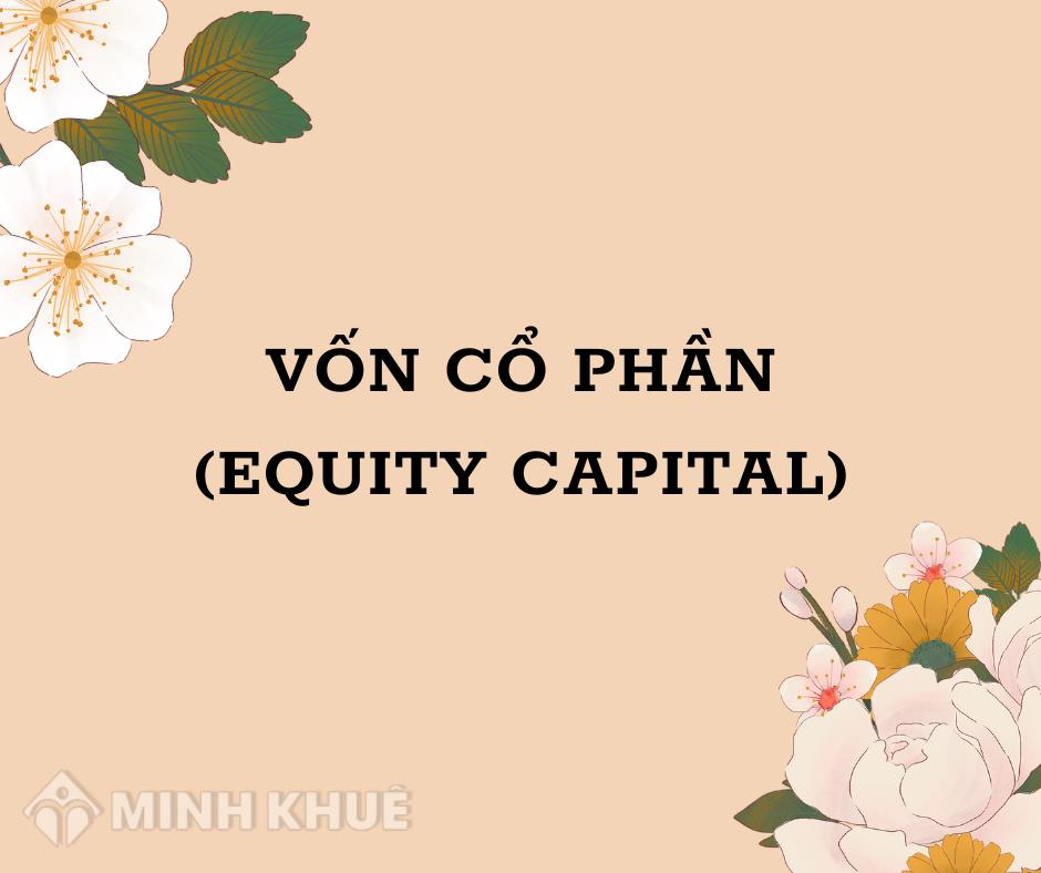 Equity Capital là gì? Khám Phá Ý Nghĩa, Cấu Trúc và Các Ứng Dụng Quan Trọng