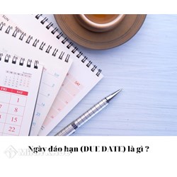 Ngày đáo hạn (DUE DATE) là gì ?