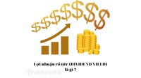 Lợi nhuận cổ tức là gì? Dividend Yield nghĩa là gì?