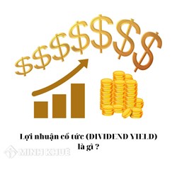 Lợi nhuận cổ tức là gì? Dividend Yield nghĩa là gì?