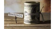Cổ tức trên mỗi cổ phần (DIVIDEND PER SHARE) là gì?