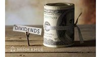 Cổ tức trên mỗi cổ phần (DIVIDEND PER SHARE) là gì?
