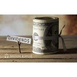 Cổ tức trên mỗi cổ phần (DIVIDEND PER SHARE) là gì?