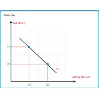 Biểu cầu (demand schedule) là gì ?