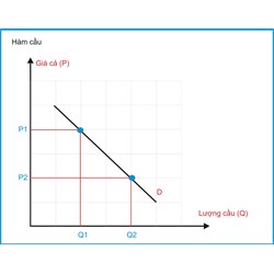 Biểu cầu (demand schedule) là gì ?